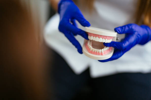 Eugene, OR  Holistic Dental Services Company